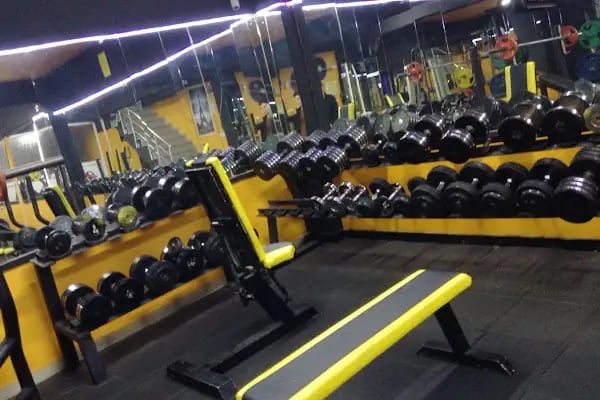 FİT GREAT Spor, Sağlık ve Yaşam Merkezi-Protein Market - Resim 16
