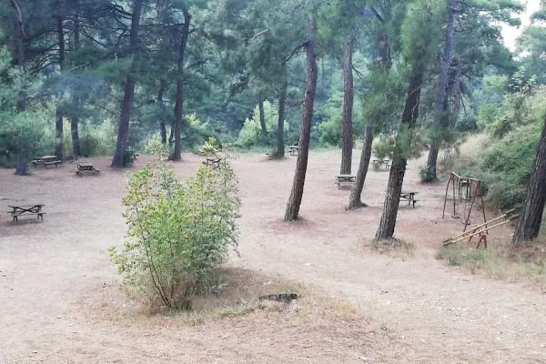 Çamlık Piknik Alanı - Resim 1
