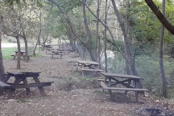 Çamlık Piknik Alanı - Resim 2