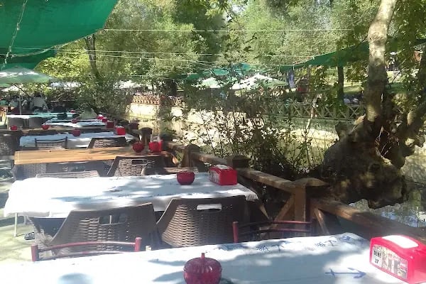 Çamlık Piknik Alanı - Resim 11