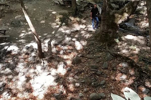 Çamlık Piknik Alanı - Resim 20