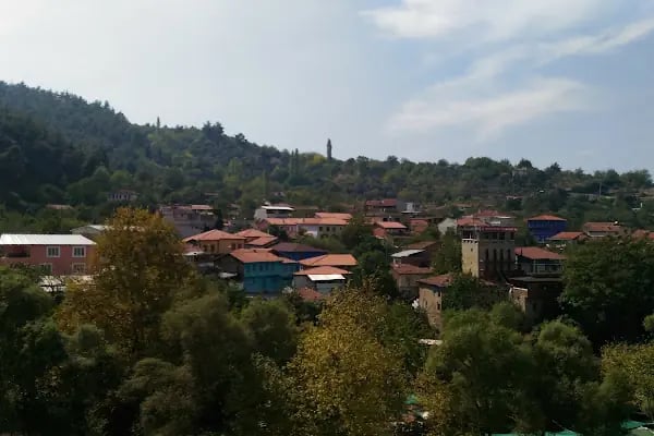 Çamlık Piknik Alanı - Resim 18