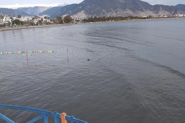 Poseidon Paintball Antalya - Resim 3