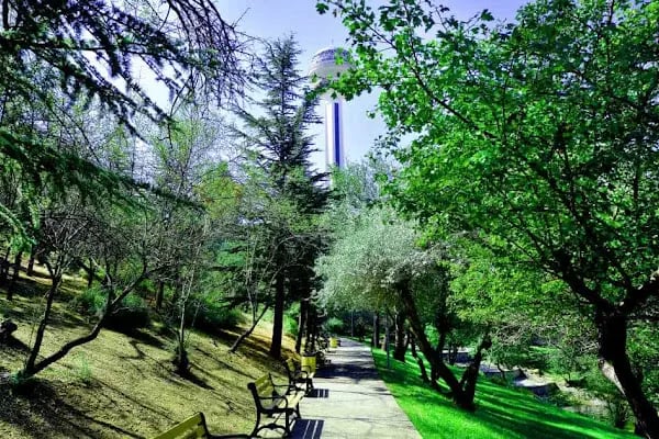 Botanik Parkı - Resim 10