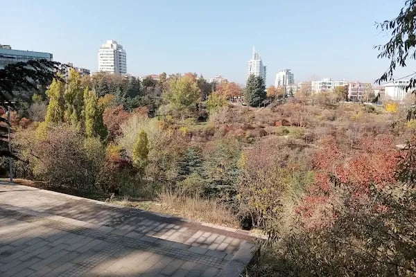 Botanik Parkı - Resim 11