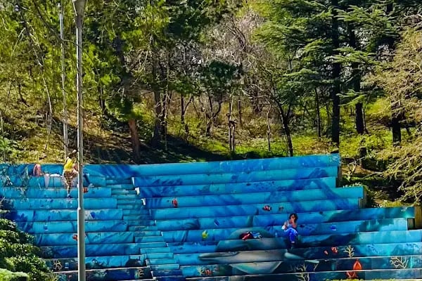 Botanik Parkı - Resim 12
