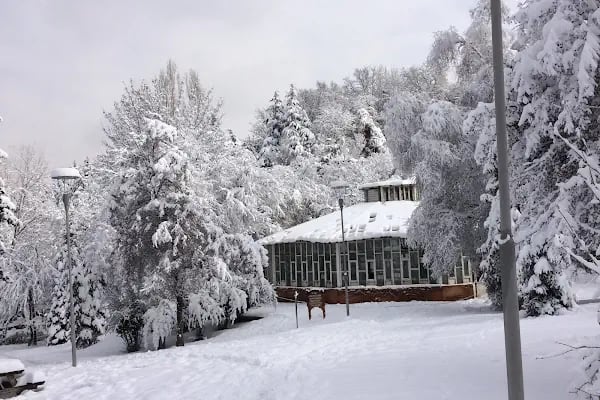 Botanik Parkı - Resim 9