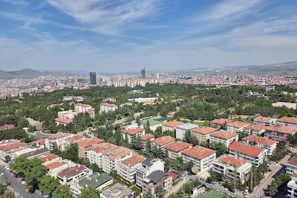 Botanik Parkı - Resim 3