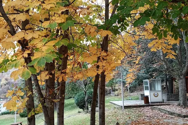 Botanik Parkı - Resim 16