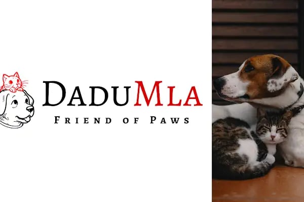 DaduMla Tic. - Resim 2