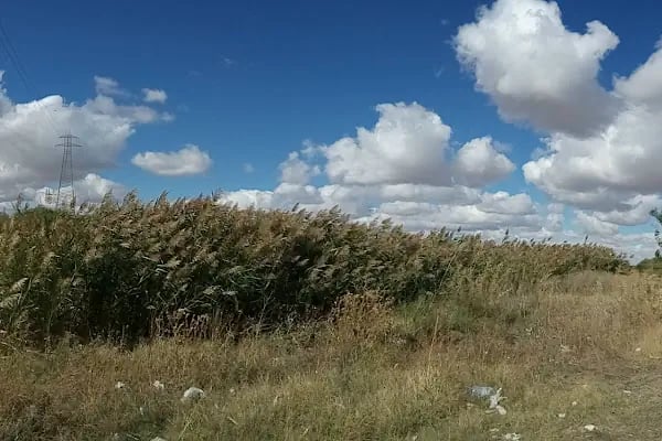 Başhüyük Göleti - Resim 15