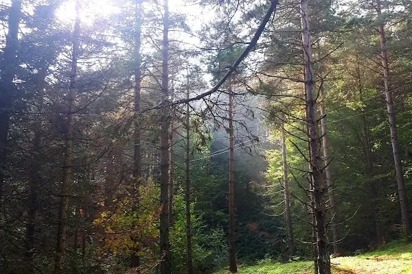 Çorak Mesire Alani ve Camping - Resim 10