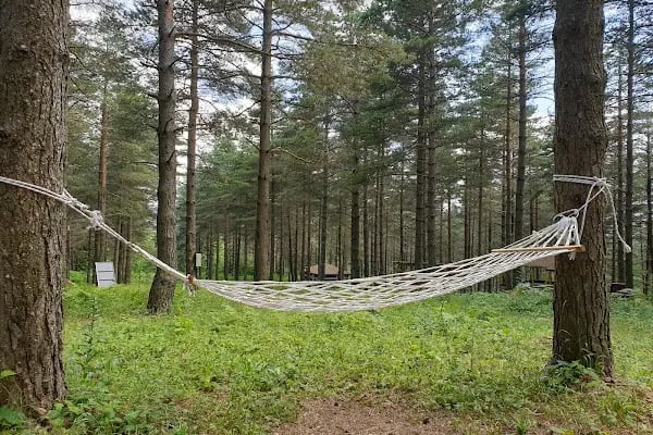 Çorak Mesire Alani ve Camping - Resim 19