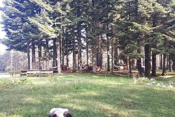 Çorak Mesire Alani ve Camping - Resim 18