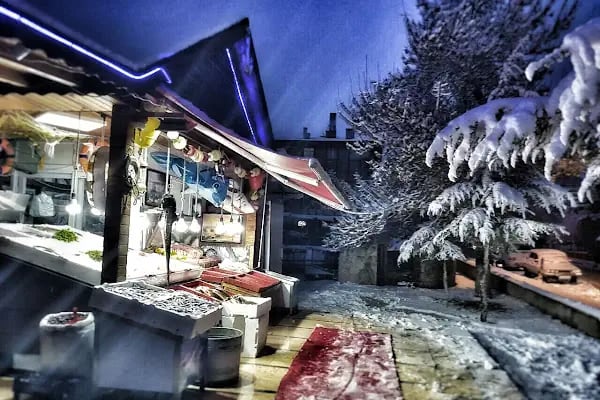 Balıkcı Orhan - Resim 15