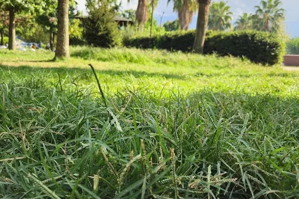Gürsu Şehir Parkı - Resim 12