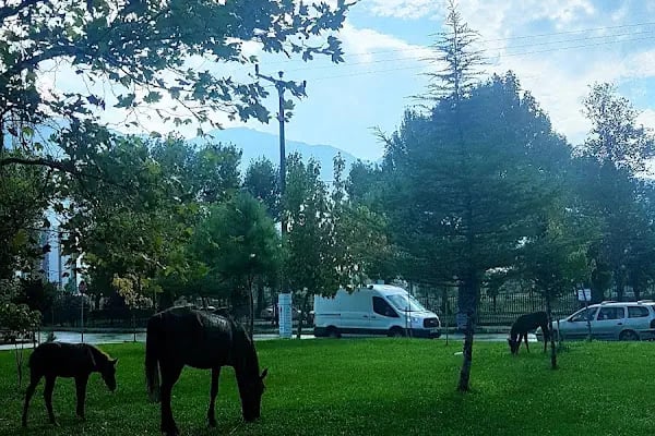 Gürsu Şehir Parkı - Resim 2