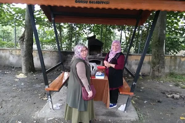Gürsu Şehir Parkı - Resim 19