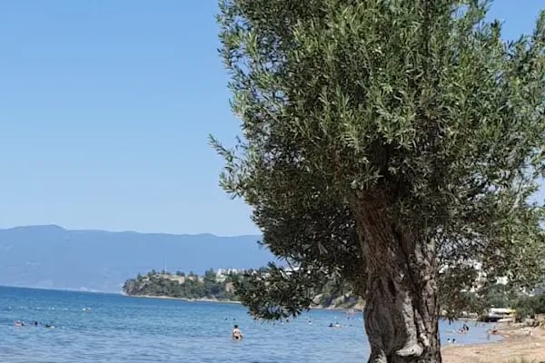 Mirza Pasha Beach - Resim 4