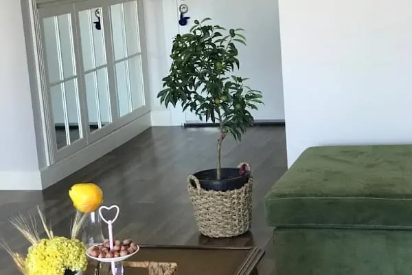 Halkalı Diyetisyen Gizem Çalışkan Akgül Beslenme ve Diyet Danışmanlığı Merkezi - Resim 10