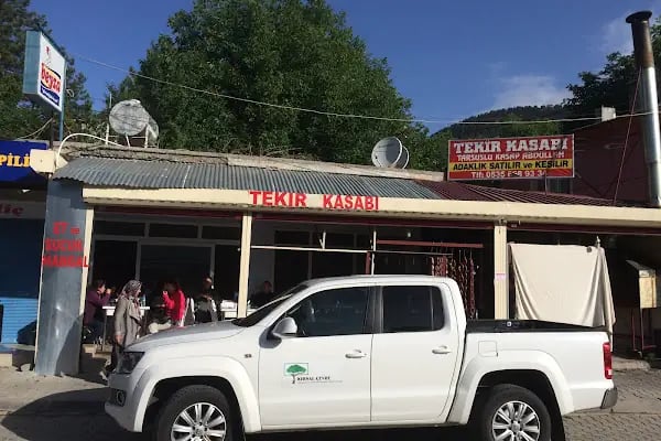Tekir Kasabı Yılmazın Yeri - Resim 2