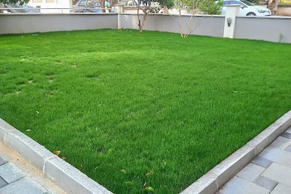 Antalya Aykut Peyzaj Botanik - Resim 11