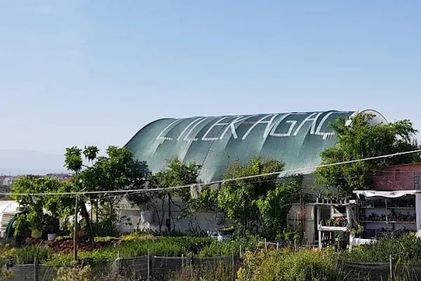 Antalya Aykut Peyzaj Botanik - Resim 8