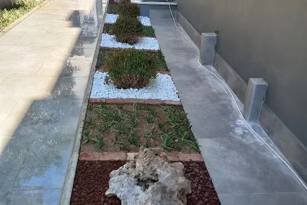 Antalya Aykut Peyzaj Botanik - Resim 16