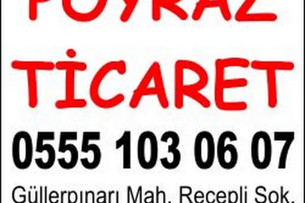 Korusu Alanya Bayii - Resim 1