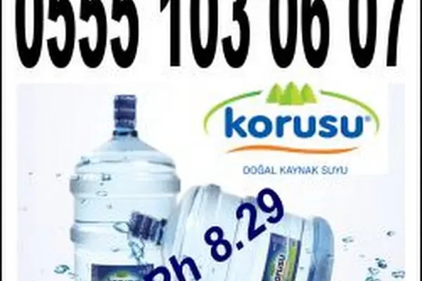 Korusu Alanya Bayii - Resim 6