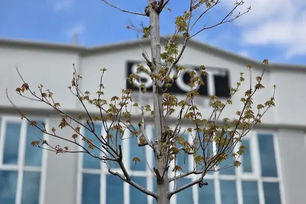 Spot Tekstil San. ve Tic. A.Ş. - Resim 8