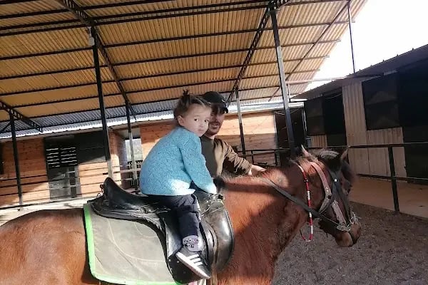 Mavi Oba At Çiftliği Ve Kahvaltı Merkezi - Resim 11