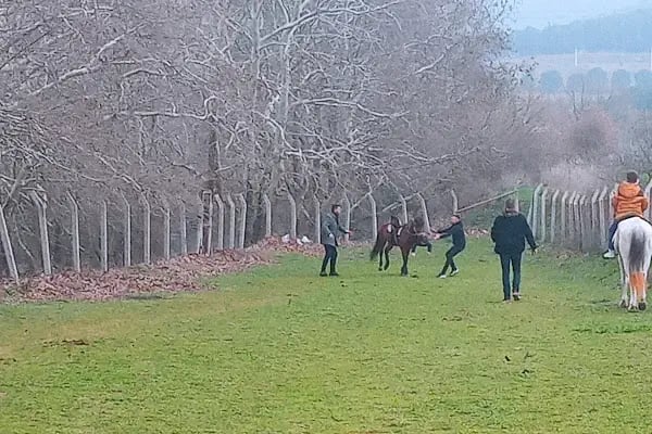Mavi Oba At Çiftliği Ve Kahvaltı Merkezi - Resim 8