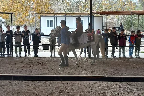 Mavi Oba At Çiftliği Ve Kahvaltı Merkezi - Resim 17