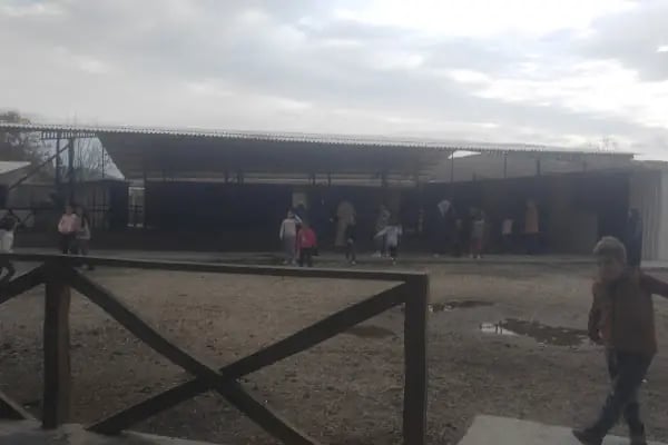 Mavi Oba At Çiftliği Ve Kahvaltı Merkezi - Resim 12