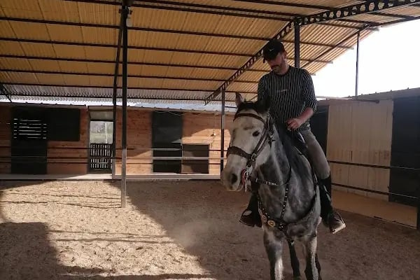 Mavi Oba At Çiftliği Ve Kahvaltı Merkezi - Resim 5