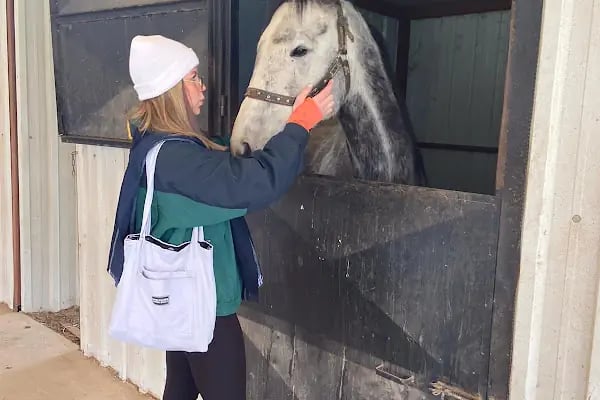 Mavi Oba At Çiftliği Ve Kahvaltı Merkezi - Resim 15