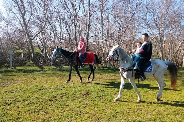 Mavi Oba At Çiftliği Ve Kahvaltı Merkezi - Resim 3