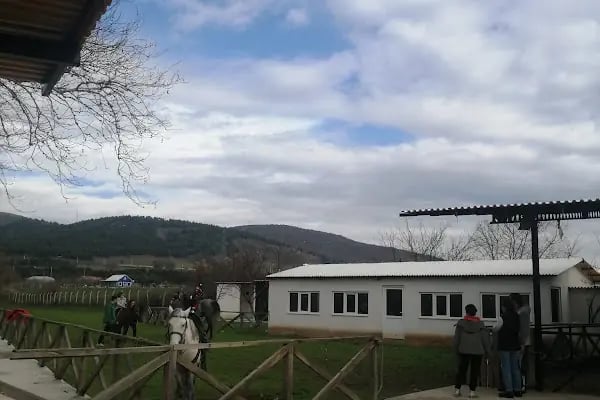 Mavi Oba At Çiftliği Ve Kahvaltı Merkezi - Resim 14