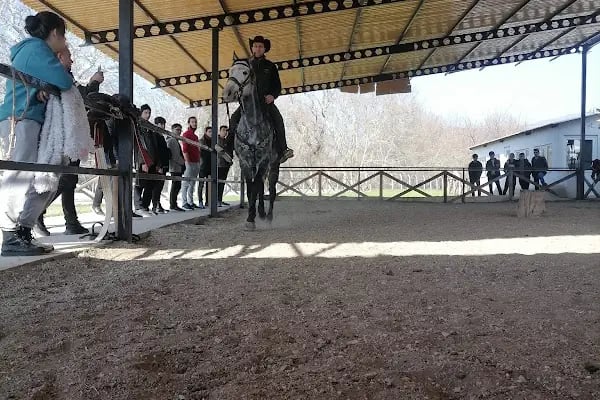 Mavi Oba At Çiftliği Ve Kahvaltı Merkezi - Resim 13