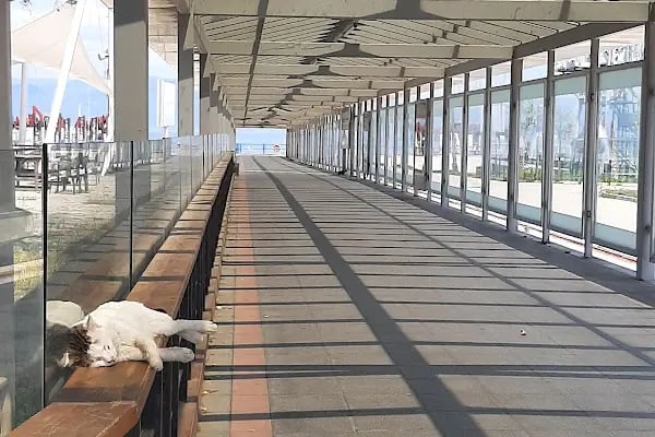 İdo Güzelyalı Feribot İskelesi - Resim 12