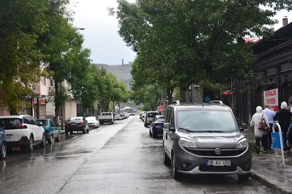Kars On Iki Havariler Kilisesi - Resim 14