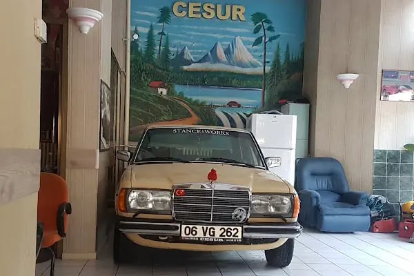Cesur Otomotiv - Resim 16