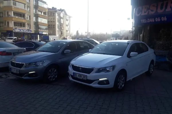 Cesur Otomotiv - Resim 12