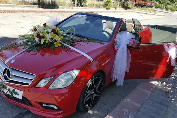 Cesur Otomotiv - Resim 7