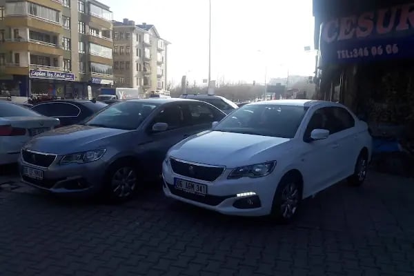 Cesur Otomotiv - Resim 14