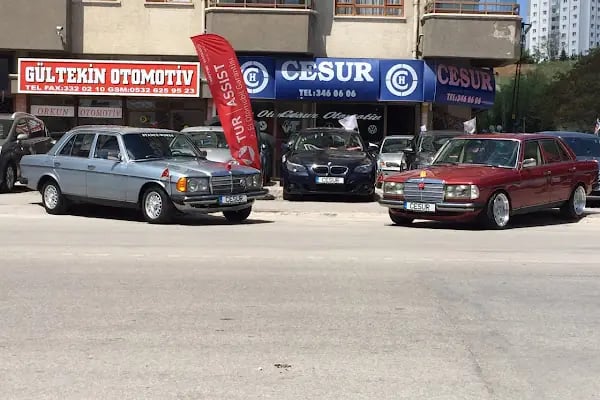 Cesur Otomotiv - Resim 8