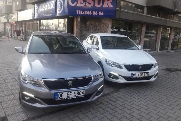 Cesur Otomotiv - Resim 15