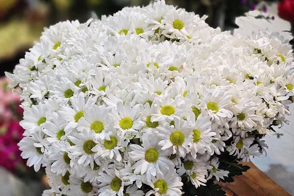 Agâh Flowers Çiçek-Çikolata - Resim 7