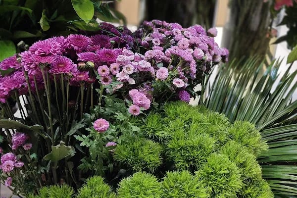 Agâh Flowers Çiçek-Çikolata - Resim 9